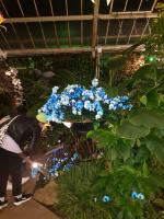 Albums/20200303-Kew Gardens/24